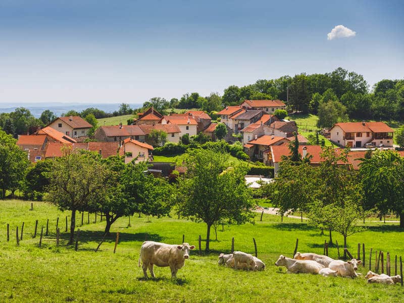 Zones de revitalisation rurale