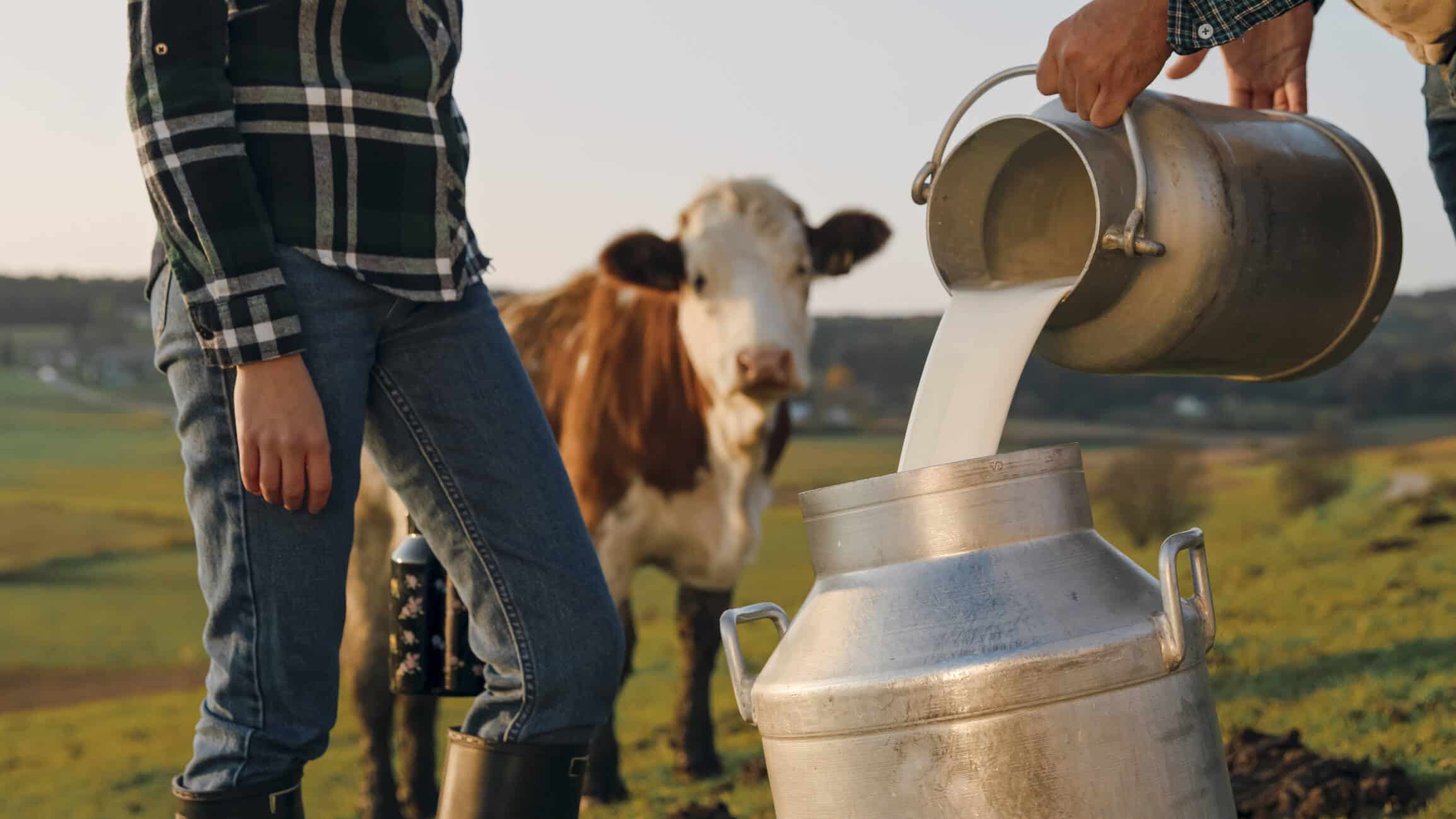 LF 2026 : le premier volet des mesures en faveur des exploitants agricoles