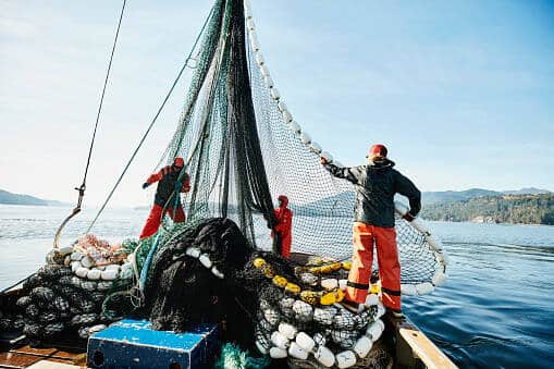 Aide à la trésorerie pour les entreprises de pêche