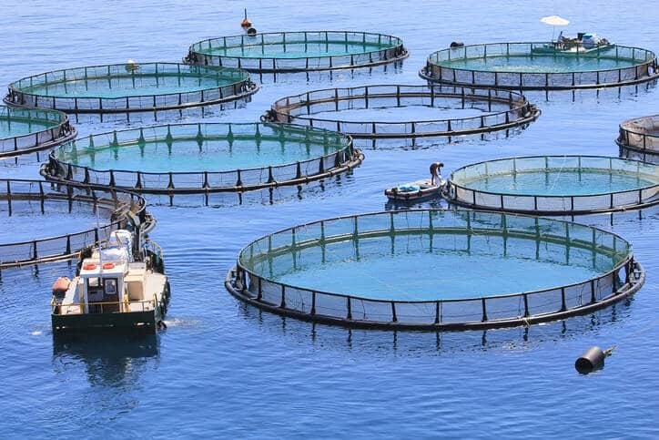 Pêche et aquaculture en mer : un prêt à taux zéro pour les TPE et PME